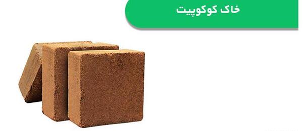 عکس خاک کوکوپیت