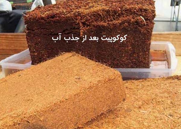 عکس خاک کوکوپیت