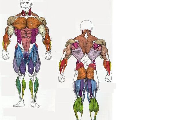 عکس از ذوزنقه