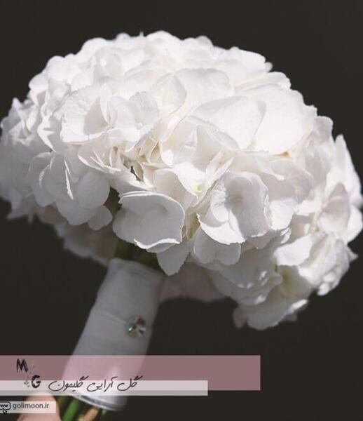 عکس پسرانه شهره لرستانی