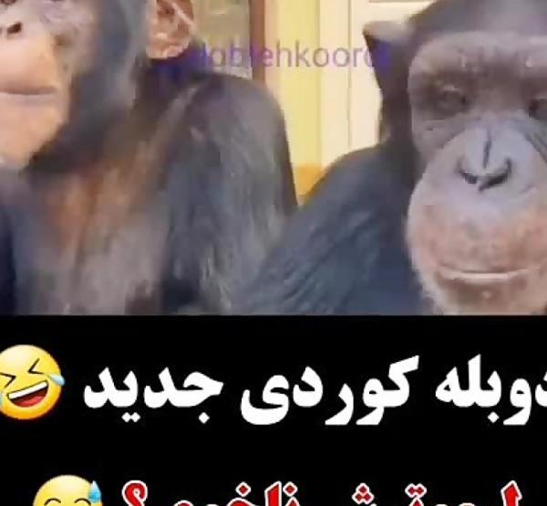 عکس تسلیت کردی