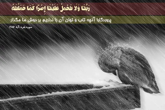 عکس نوشته آیات آموزنده قرآن
