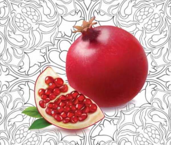 عکس لوگو یلدا