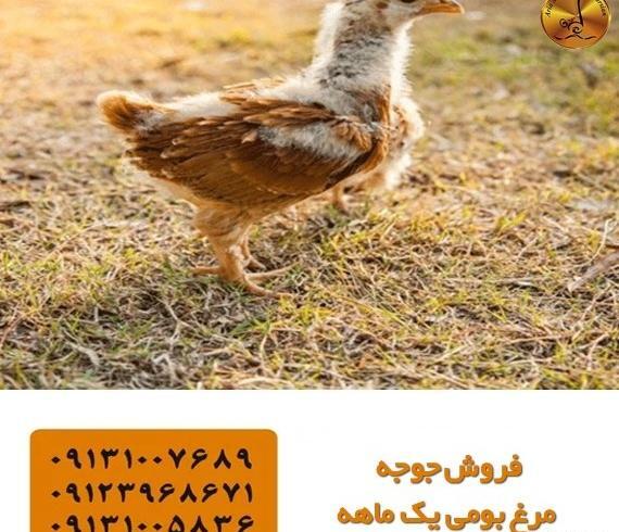 عکس نقاشی دختر گام به گام