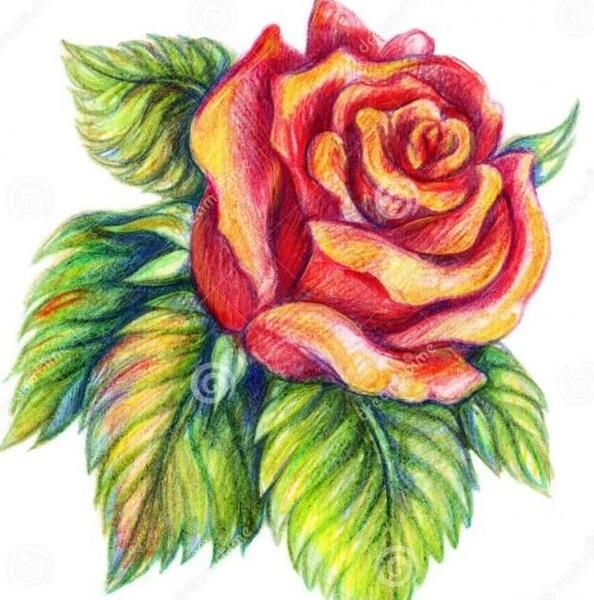 عکس نقاشی فانتزی گل رز