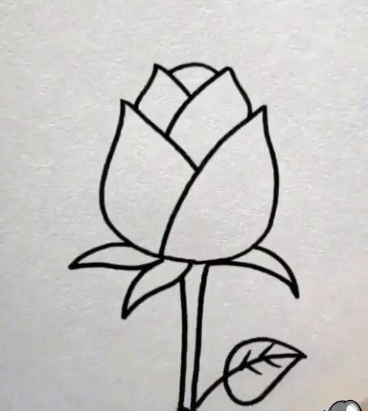 عکس نقاشی فانتزی گل رز