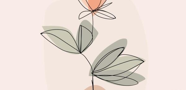 عکس نقاشی فانتزی گل رز