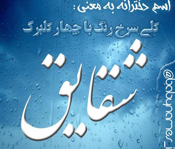 عکس شقایق نوشته