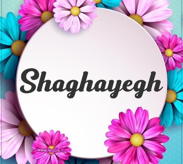 عکس شقایق نوشته