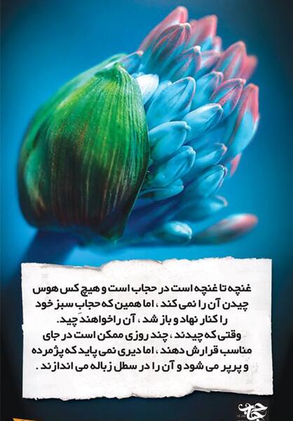 عکس نمایشگاه حجاب و عفاف