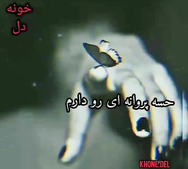 عکس قبر خودم