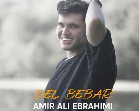 عکسهای امیر علی خواننده