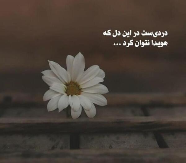 عکس غمگین طبیعت برای پروفایل
