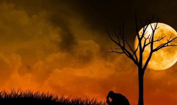 عکس غمگین طبیعت برای پروفایل