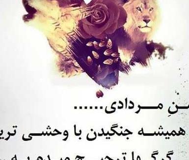 عکس شیر مردادی برای پروفایل