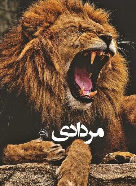 عکس شیر مردادی برای پروفایل