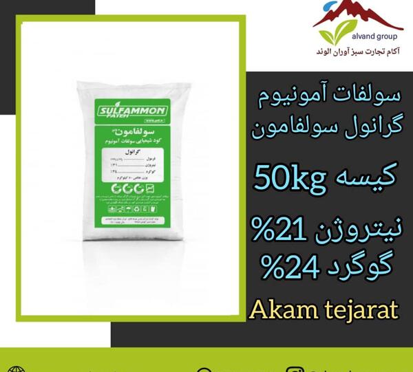 عکس ستاره نمدی