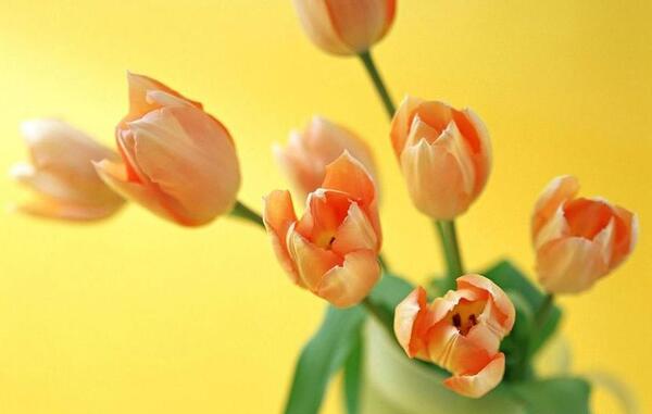 عکس خطای دید ریاضی نهم