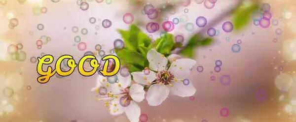 عکس وضعیت واتساپ ۳۰ ثانیه ای