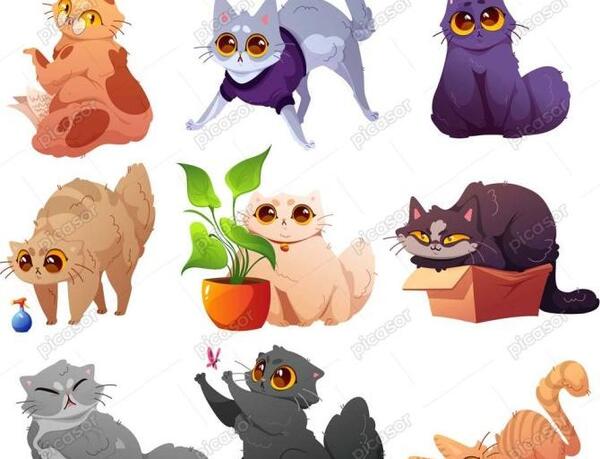 عکس گربه بامزه برای پس زمینه