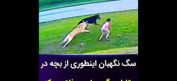 عکس خودکشی با تیغ فیک