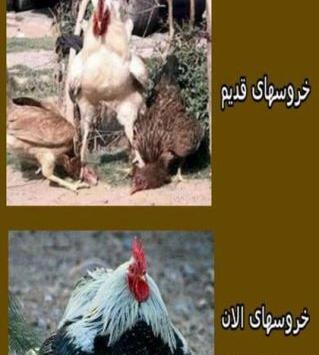 عکس نوشته خنده دار از حیوانات
