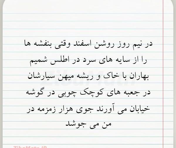 عکس چهل روز گذشت عمه جان