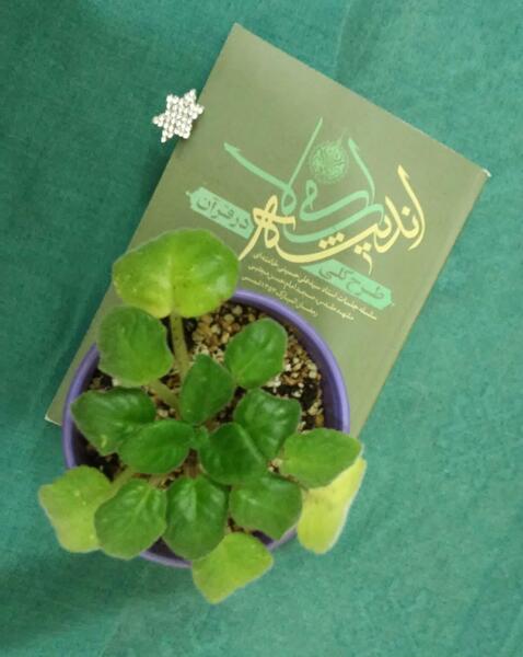عکس نوشته مطالعه کتاب