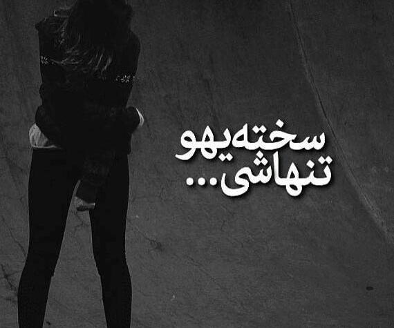 عکس همستر خوابالو