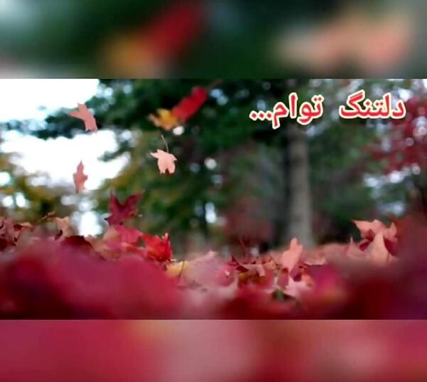 عکس امام حسین استوری