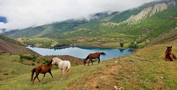 عکس هایی از طبیعت ایران