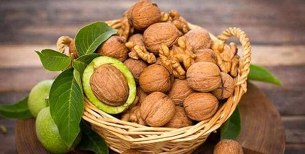 عکس از ازیتا لاچینی