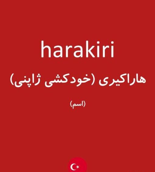 ترجمه عکس نوشته ژاپنی به فارسی