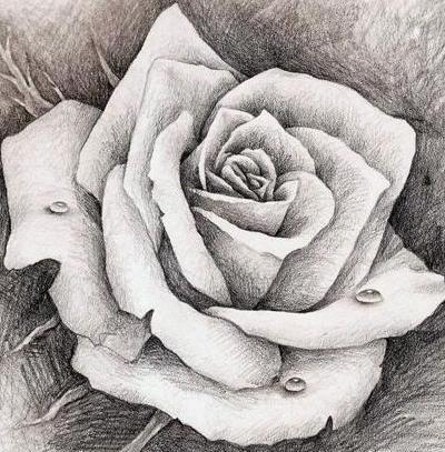 عکس نقاشی با زغال گل