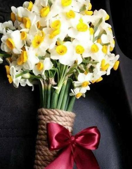 عکس دسته گل نرگس با کیفیت بالا