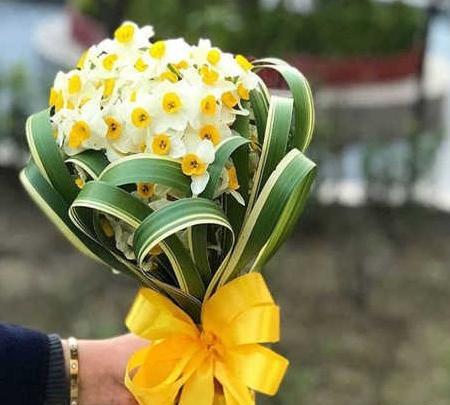 عکس دسته گل نرگس با کیفیت بالا