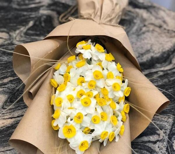 عکس دسته گل نرگس با کیفیت بالا