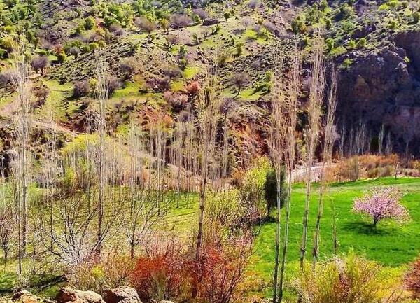 عکس از طبیعت گردنه حیران