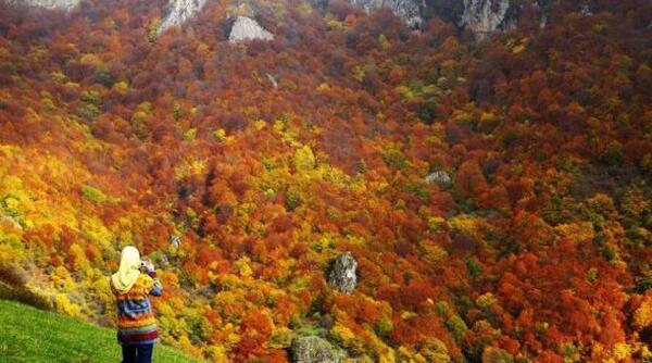 عکس از طبیعت گردنه حیران