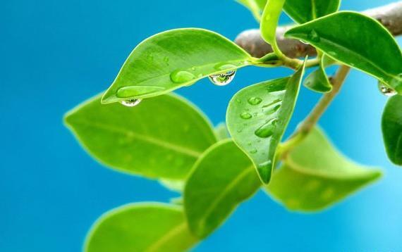 عکس از طبیعت گردنه حیران