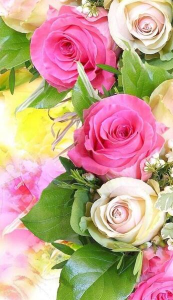 عکس گلهای زیبا برای صفحه گوشی