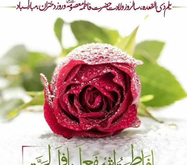 عکس تولد حضرت معصومه وروز دختر
