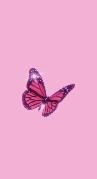 عکس پروانه صورتی واقعی