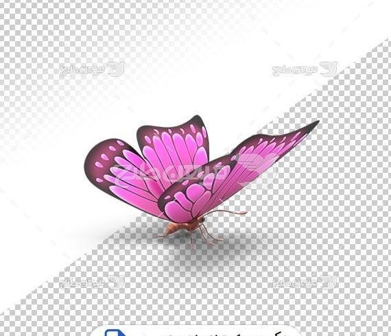 عکس پروانه صورتی واقعی