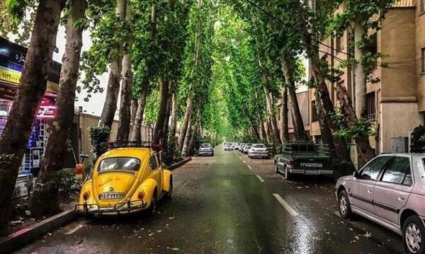 عکس نوشته من عاشق پاییزم