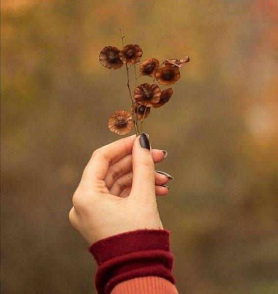 عکس دخترونه پروفایل پاییزی