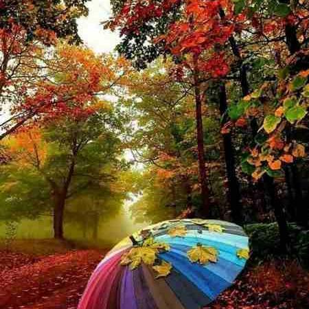 عکس دخترونه پروفایل پاییزی