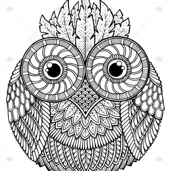 عکس جغد واقعی سفید