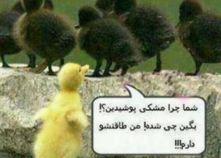 عکس جالب عکس جالب