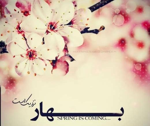 عکس بهار متن